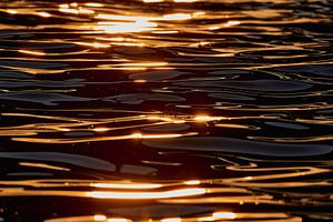 Golden Ripples
