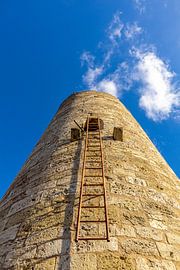 Spring walk around the castle ruins Brandenburg in the beautiful by Oliver Hlavaty