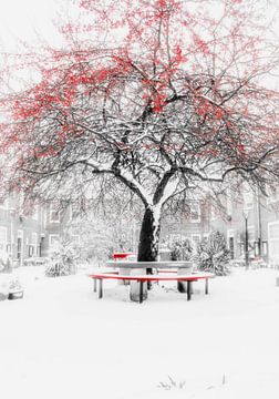 Winter in 's-Hertogenbosch van Sonja Onstenk