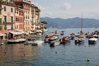 Harbor of Portofino