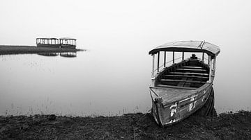 Abandoned boats on the lake