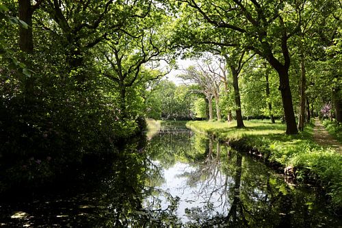 Mooie reflectie in het water. De Manteling