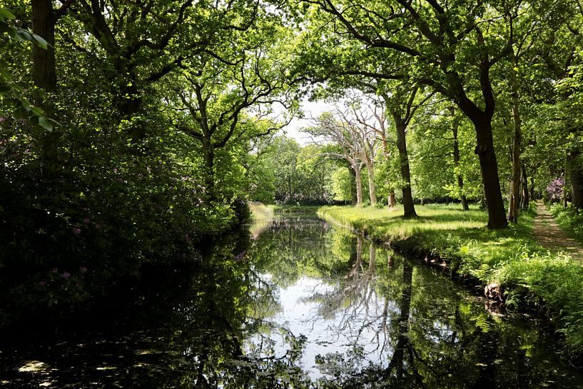 Mooie reflectie in het water. De Manteling van Wendy Hilberath