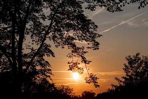 Zwoele zonsondergang / Sensual sunset