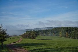 In den Wäldern des Saarlandes bieten sich im Herbst ein besonderes Bild: Wiesen und Einzelbäume.