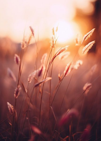 Goldene Stunde von fernlichtsicht