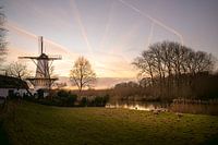 Winterlandschaft mit Mühle und Sonnenuntergang in den Niederlanden