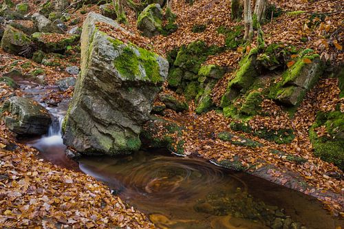 Rots in de Ninglinspo