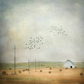 Na de Oogst van Iris van Heusden