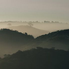 Holländische Dünen - blau von Wendy Verlaan