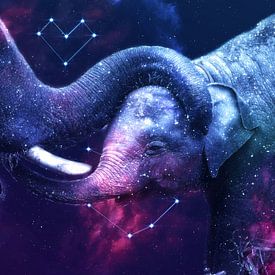 Galaxy Elephant Mom and Baby von Lemo Boy