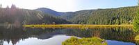 Herfstsfeer aan de kleine Arbersee in het Beierse Woud