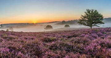 panorama van de Posbank van Dennisart Fotografie