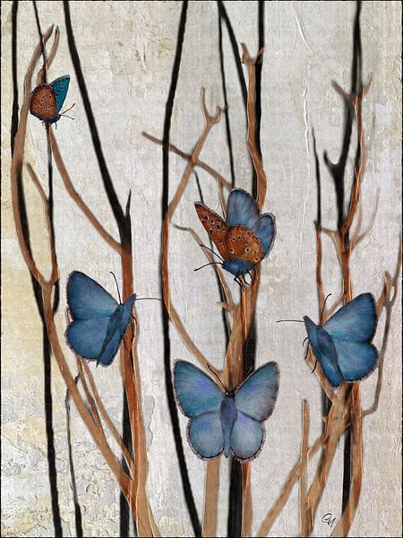 Butterflies - Waiting for spring by Christine Nöhmeier