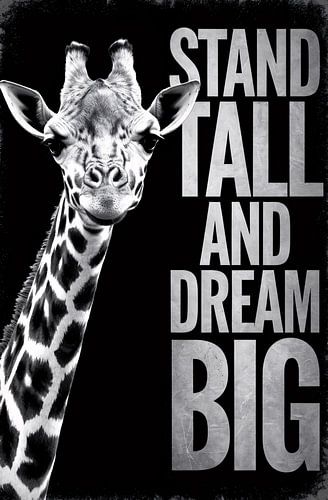 Giraffe met inspirerende boodschap