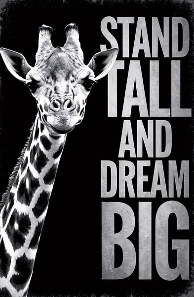 Giraffe with inspirational message by Art & Soul Creations