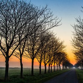 de kleurijke weg richting de zon van Frans Bruijn