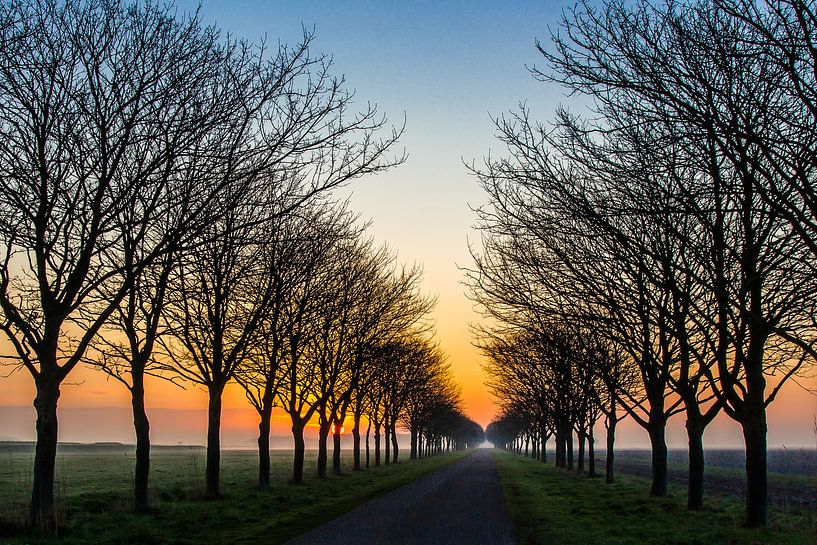 la route colorée vers le soleil par Frans Bruijn