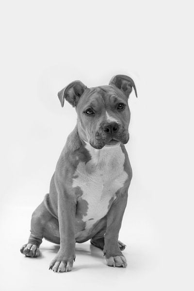 Eyes full of promise by Michar Peppenster