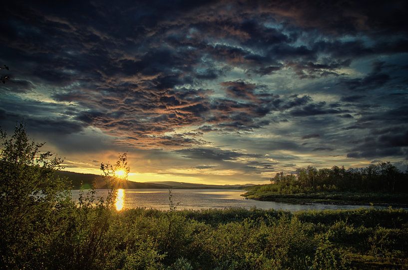 Na de regen een overval van schoonheid von Remco de Vries