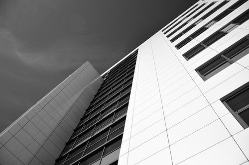 Evergreen Waalhaven Zuid Rotterdam