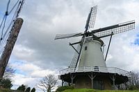 Turmgetreidemühle de Windhond in Soest