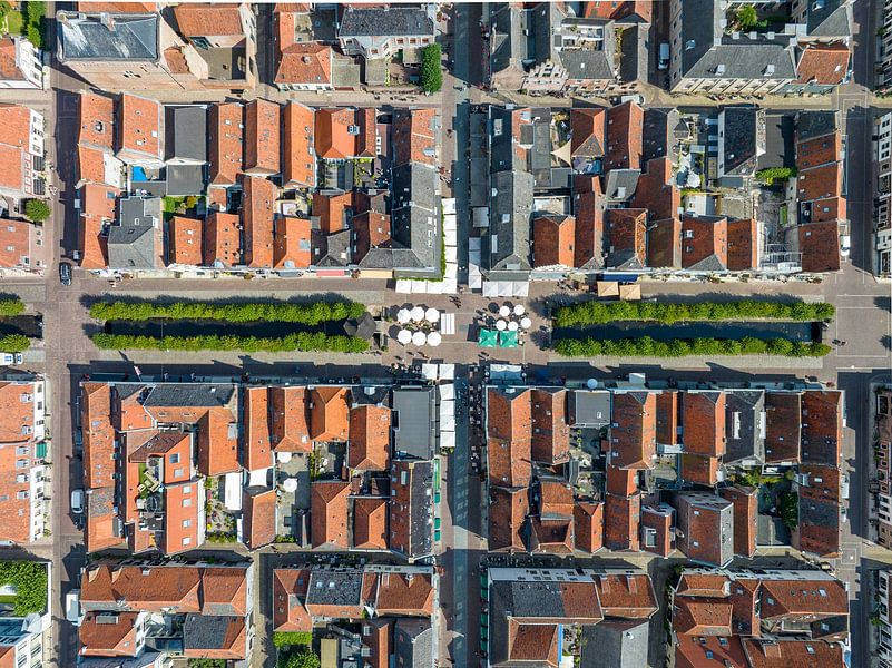 Elburg ancient walled town seen from above by Sjoerd van der Wal Photography