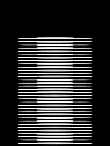 Japanische Kunst in Schwarz Weiss II