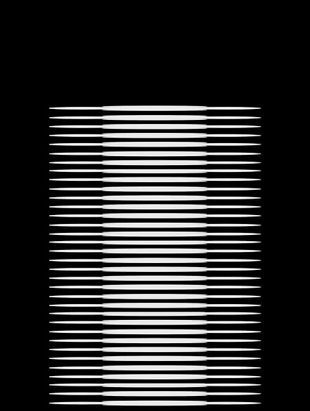 Japanese Art in Black and White II by Mad Dog Art