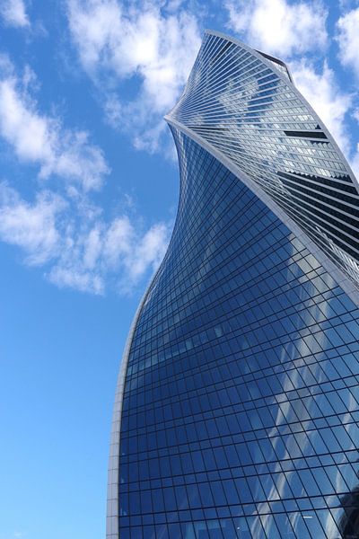 Evolution Tower  by Andrew Chang