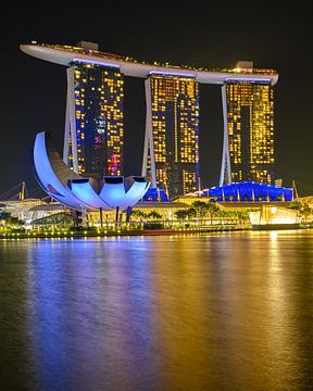 Singapore Marina Bay Sands in de nacht van Keith Wilson Photography