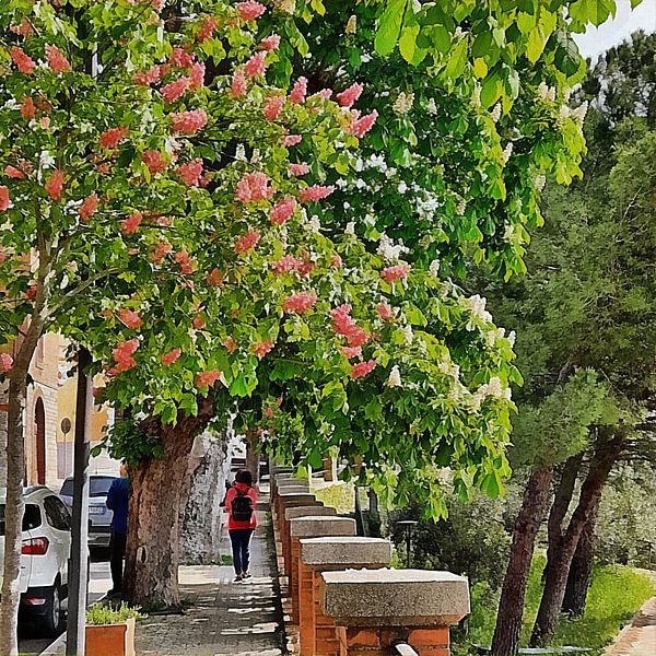 A Walk Under The Chestnut Trees by Dorothy Berry-Lound