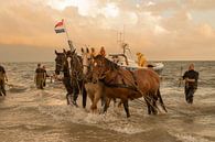 Paardenreddingsboot Abraham Fock Ameland van Jessica Jongeneel thumbnail
