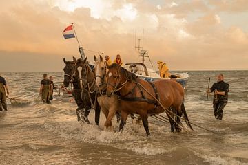 Paardenreddingsboot Abraham Fock Ameland von Jessica Jongeneel