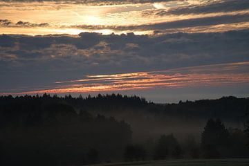 Baum auf einer Wiese bei Nebel zum Sonnenaufgang von Martin Köbsch