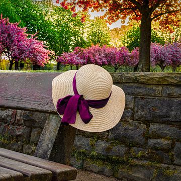 Zomerhoed en kersenbloesembomen