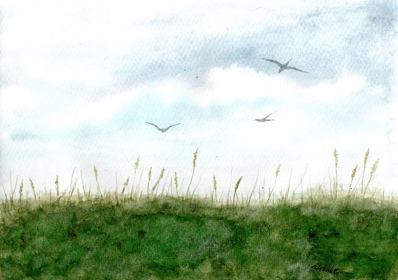 Dune in Dänemarkt, Blåvand by Sandra Steinke