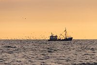 Fischerboot bei Sonnenuntergang
