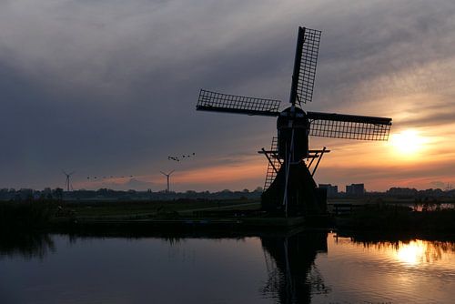 Molen