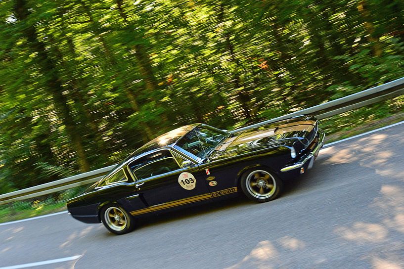 Ford Mustang GT350H Shelby - Start 103 - Eggberg Klassik 2025 par Ingo Laue