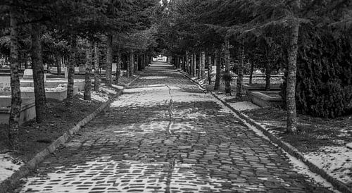 De weg naar het einde... van Roland's Foto's