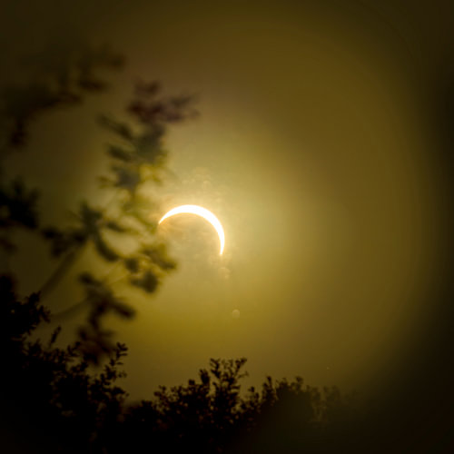 Sonnenfinsternis 2026 von Alie Ekkelenkamp