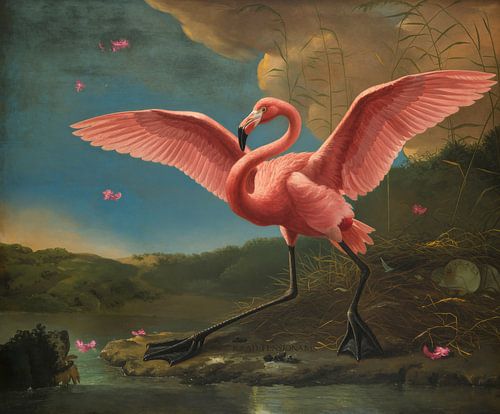 The endangered Falmingo