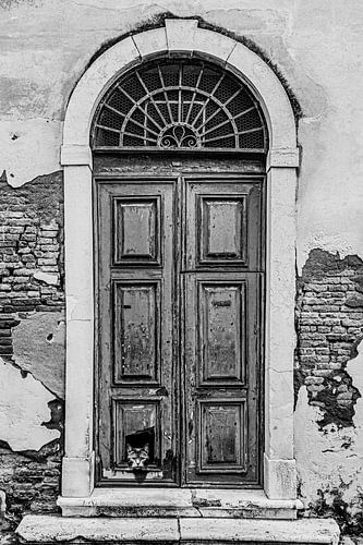 Cat flap in black and white