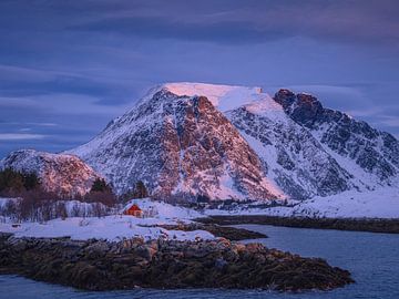 Ein farbenprächtiger Sonnenaufgang auf den Lofoten von Andy Luberti