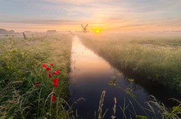 Un lever de soleil hollandais ! sur Corné Ouwehand