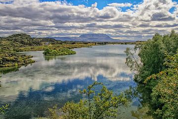 Kalfastrond lava lake around Lake Myvatn in Iceland by Patricia Hofmeester