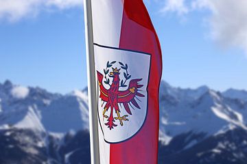 Austrian flag with snowy mountains in the background by Udo Herrmann