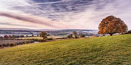 Eyserhalte by Rob Boon