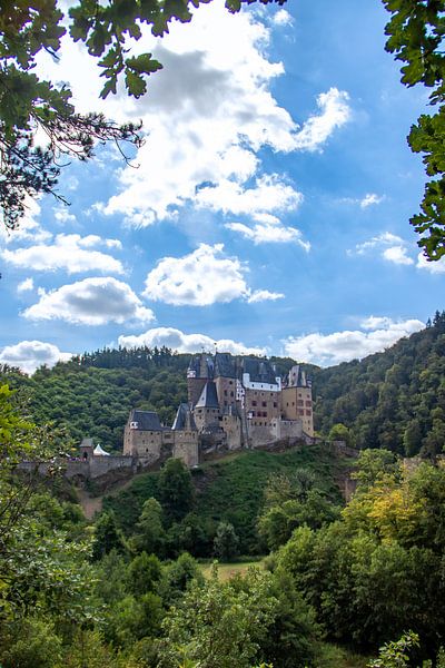A sunny day at Castle Eltz. by Floyd Angenent